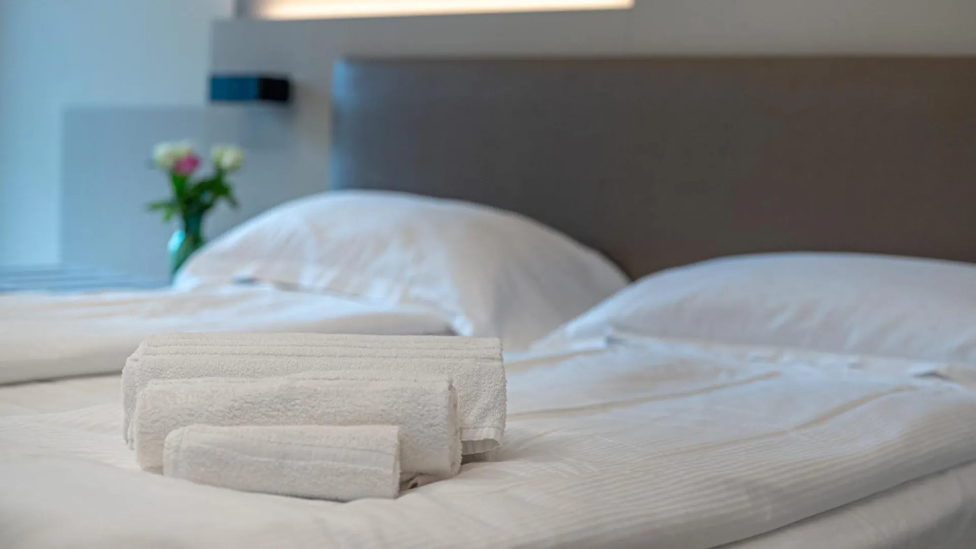 ***  Ile Hotel Peschiera del Garda Italy